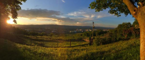 Hotels in Ingelheim Am Rhein